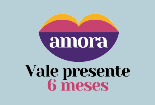 Vale Presente 6 Meses de Amora Livros